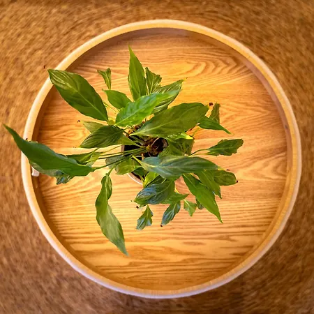 Romántica Apartamento *