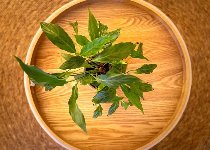 Romántica Appartamento *